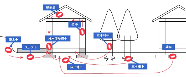 シロアリが巣を作る場所